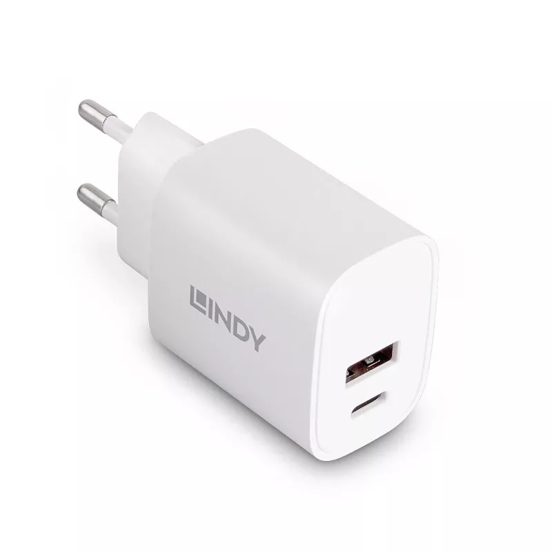 Indoor charger Lindy 73413 — universal AC 100–240V, output 12V 3A, USB-A + USB-C, white