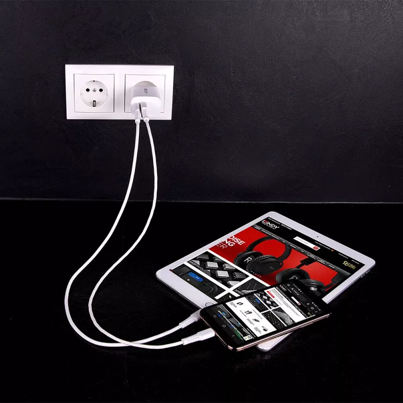 Indoor charger Lindy 73413 — universal AC 100–240V, output 12V 3A, USB-A + USB-C, white