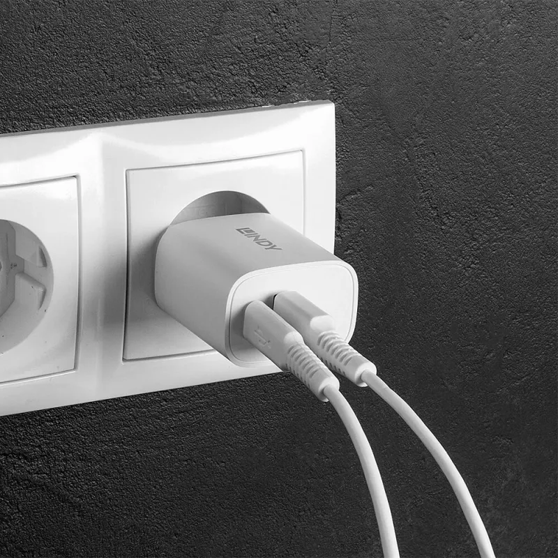 Indoor charger Lindy 73413 — universal AC 100–240V, output 12V 3A, USB-A + USB-C, white