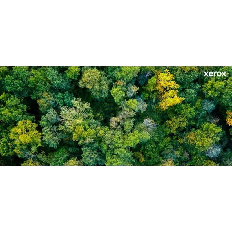 Xerox Genuine ® C320 Color Printer/C325 Color Multifunction Printer Magenta Standard capacity Toner Cartridge (1800 Pages) - 006R04821