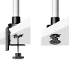 StarTech.com Monitor Desk Mount For 27in 16:9 or 30in 21:9 Ultrawide Screens, VESA 75x75/100x100, Tool-Less Arm Adjustments, C-Clamp/Grommet, Spring-Assisted Arm