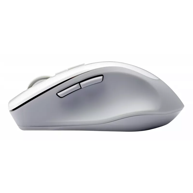 ASUS WT425 mouse Office Right-hand RF Wireless Optical 1600 DPI