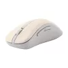 ASUS Wireless MD102 mouse Universal Right-hand RF Wireless + Bluetooth Optical 1600 DPI