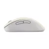 ASUS Wireless MD102 mouse Universal Right-hand RF Wireless + Bluetooth Optical 1600 DPI