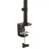 StarTech.com Desk-Mount Dual Monitor Mount - Vertical - Steel