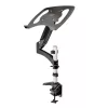 StarTech.com Desk Mount Laptop Arm - Full Motion Articulating Arm for Laptop or Single 34 inch Monitor - VESA Mount Laptop Tray Bracket - Ergonomic Adjustable Notebook Stand - Desk-Clamp