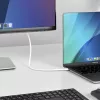 StarTech.com 6ft (2m) USB-C to DisplayPort 1.2 Cable, Bidirectional, 4K 60Hz, White Video Adapter Cord for Apple MacBook Pro / Air M1 M2 M3 M4, Mac Mini / Studio, Thunderbolt Compatible