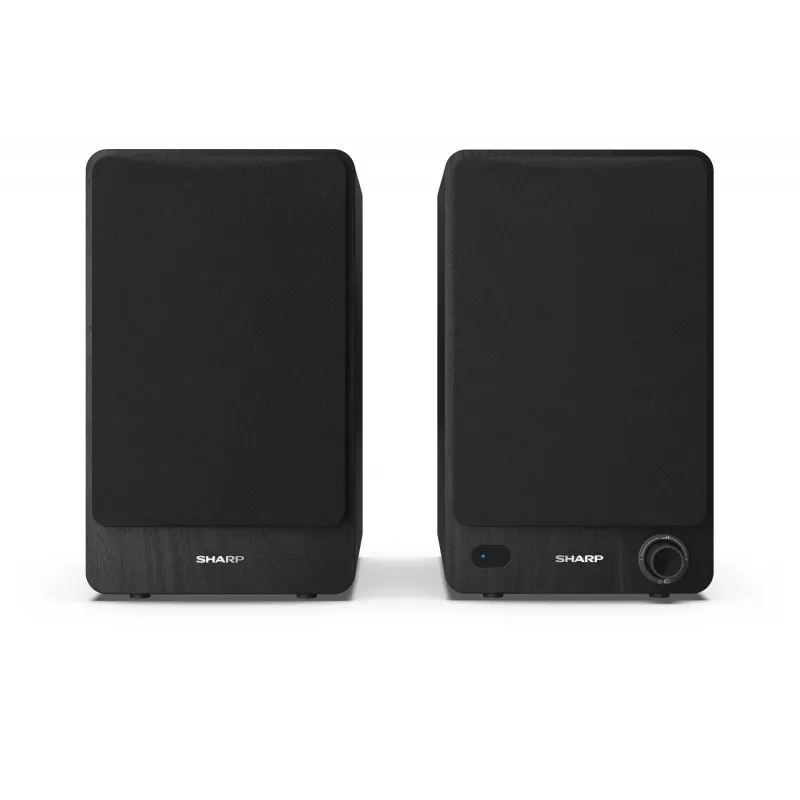 Sharp CP-SS30 Bookshelf Speakers - Black