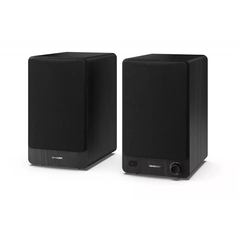 Sharp CP-SS30 Bookshelf Speakers - Black