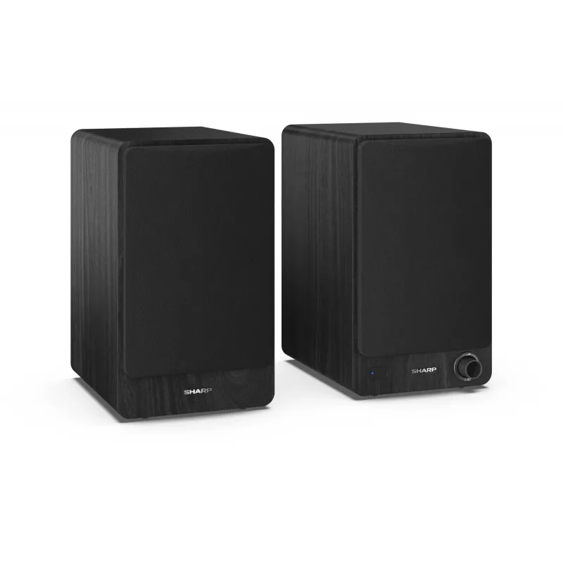 Sharp CP-SS30 Bookshelf Speakers - Black