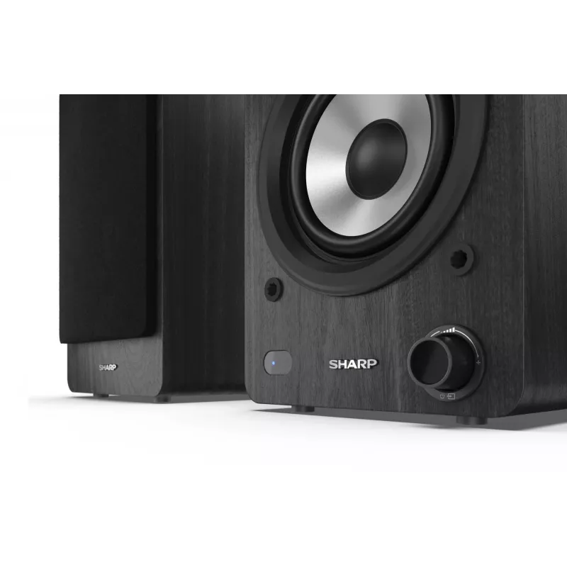 Sharp CP-SS30 Bookshelf Speakers - Black