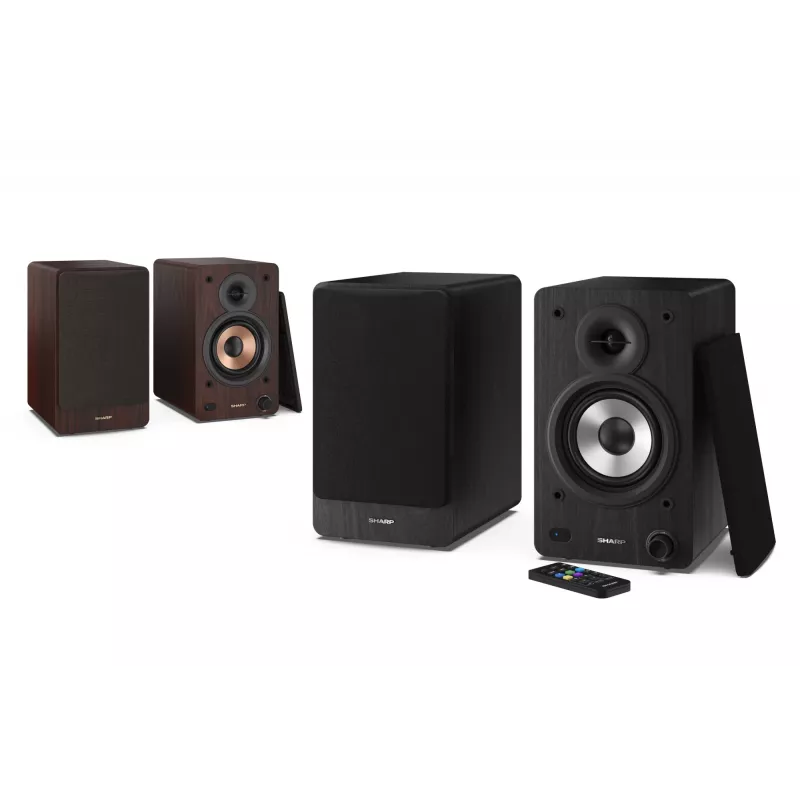 Sharp CP-SS30 Bookshelf Speakers - Black