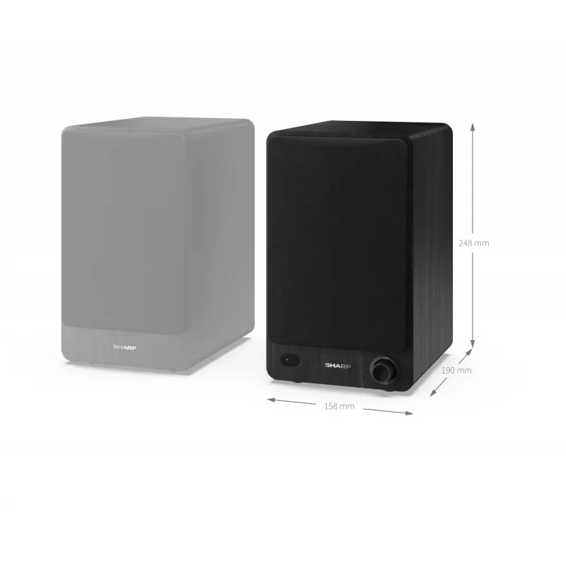 Sharp CP-SS30 Bookshelf Speakers - Black