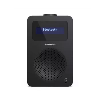 Personal Radio Sharp DR-430 Digital Tuner DAB DAB+ FM