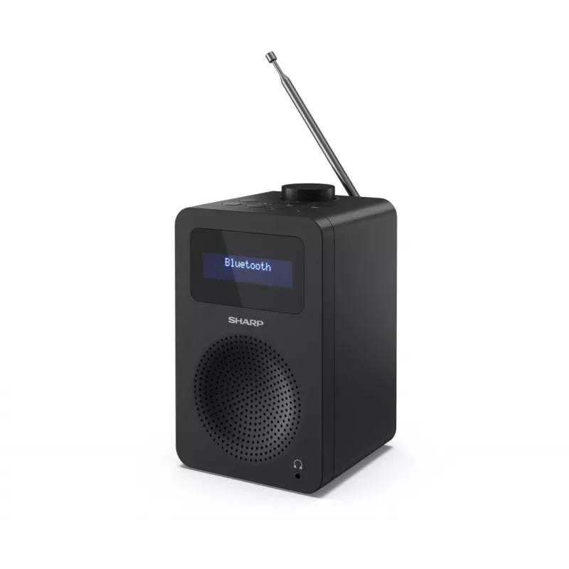 Personal Radio Sharp DR-430 Digital Tuner DAB DAB+ FM