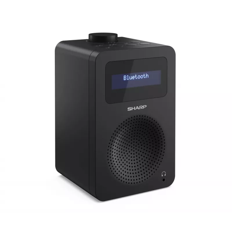 Personal Radio Sharp DR-430 Digital Tuner DAB DAB+ FM