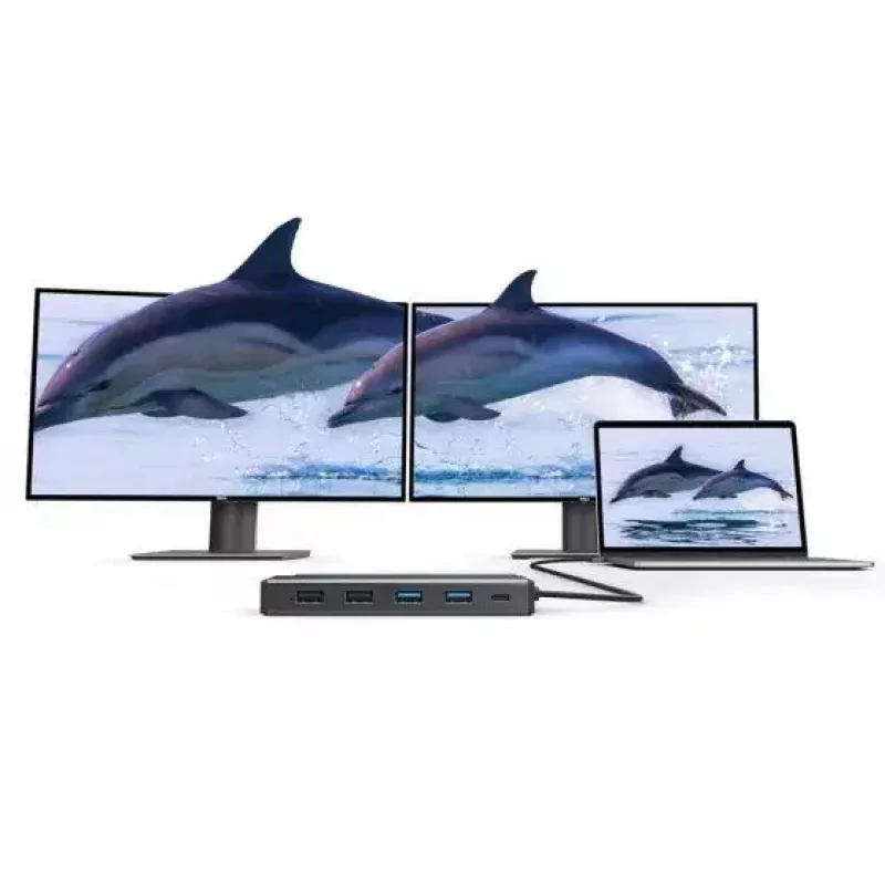 ALOGIC MV2 Wired USB 3.2 Gen 1 Type-C Ethernet 1000 Mbit/s