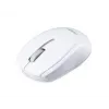 Mouse Acer M501 RF Wireless Optical
