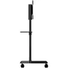 StarTech.com Mobile TV Cart - Portable Rolling TV Stand for 37-70 inch VESA Display (154lb/70kg) - TV Stand w/Shelf & Storage Compartment - Rotate/Tilt Display - Universal TV Mount on Wheels