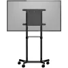 StarTech.com Mobile TV Cart - Portable Rolling TV Stand for 37-70 inch VESA Display (154lb/70kg) - TV Stand w/Shelf & Storage Compartment - Rotate/Tilt Display - Universal TV Mount on Wheels