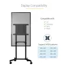 StarTech.com Mobile TV Cart - Portable Rolling TV Stand for 37-70 inch VESA Display (154lb/70kg) - TV Stand w/Shelf & Storage Compartment - Rotate/Tilt Display - Universal TV Mount on Wheels