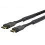Vivolink PRODPAM10 DisplayPort cable 10 m Black