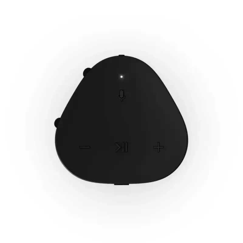 Stereo portable speaker Sonos Roam 2 Black