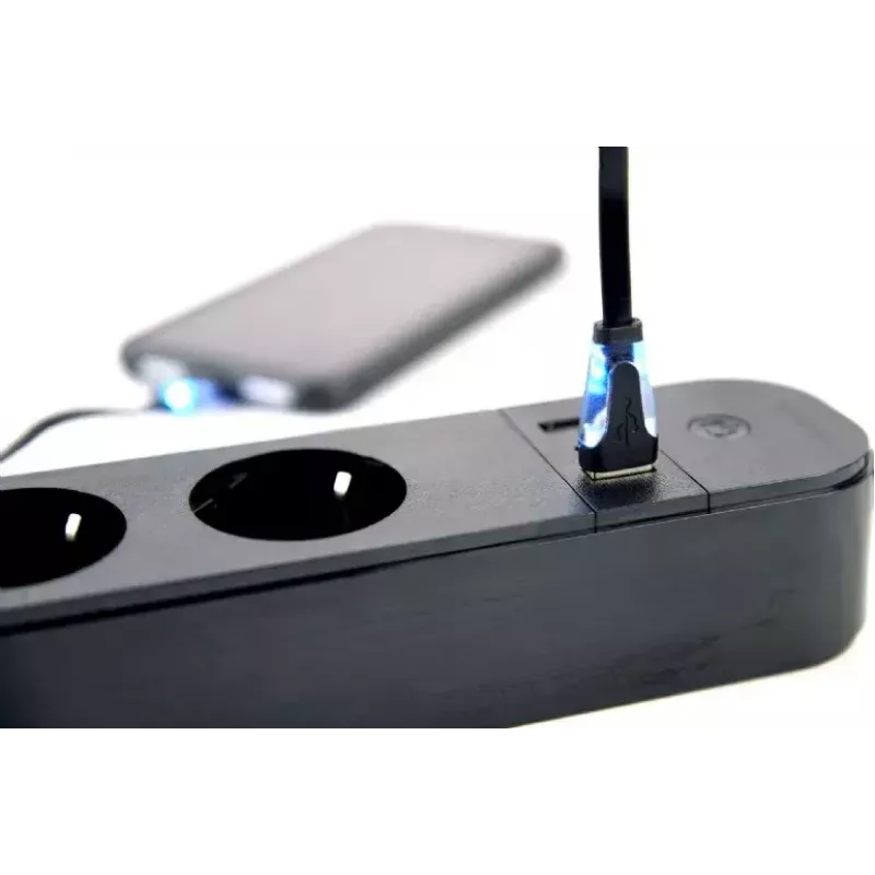 Power Strip Gembird TSL-PS-S4U-01 Smart 4 AC Outlets