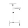 Vivolink VLPS100 project mount Floor White