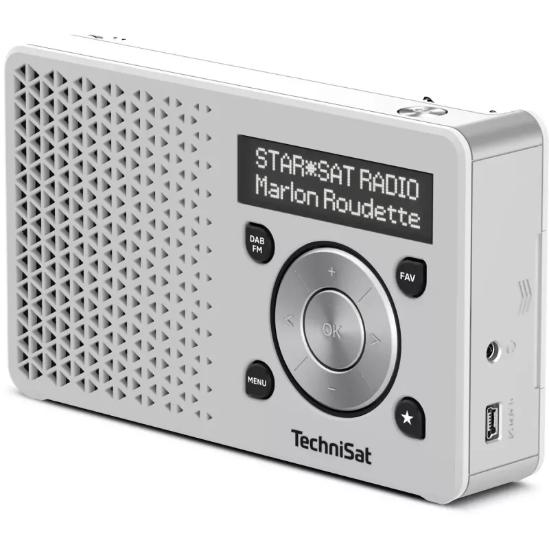 Portable Radio TechniSat DigitRadio 1