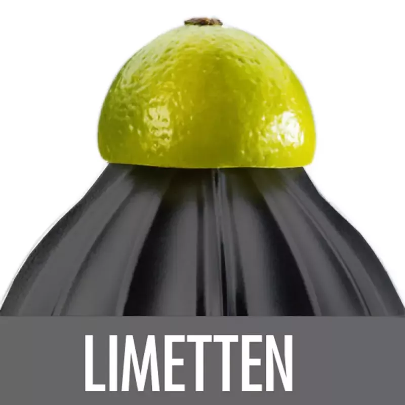 Electric Citrus Press Gastroback Home Culture 100 W Black Stainless Steel