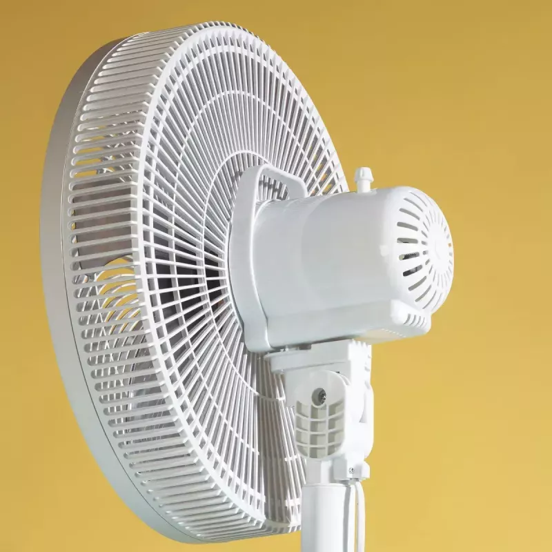 Household fan JATA JVVP3060