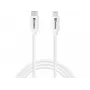 Sandberg USB-C PD to Lightning MFI 1M Cable 1m Lightning USB C