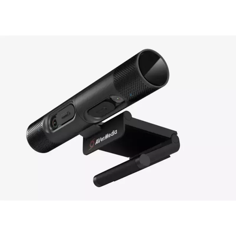 Webcam AVerMedia PW313D 5 MP 2592 x 1944 pixels