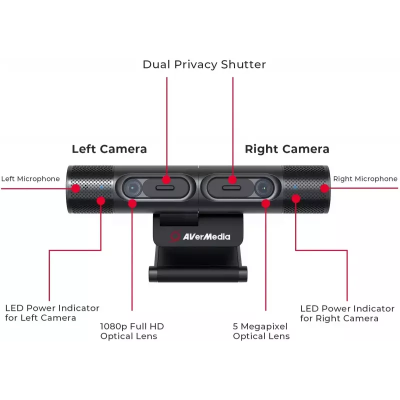 Webcam AVerMedia PW313D 5 MP 2592 x 1944 pixels