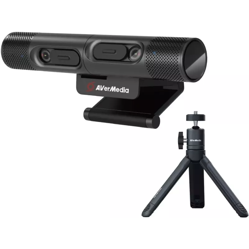 Webcam AVerMedia PW313D 5 MP 2592 x 1944 pixels