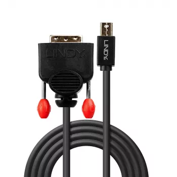 Lindy 1m Mini DisplayPort to DVI Cable, Black