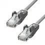 Network Cable ProXtend CAT5e U/UTP CCA PVC Grey 0.25m