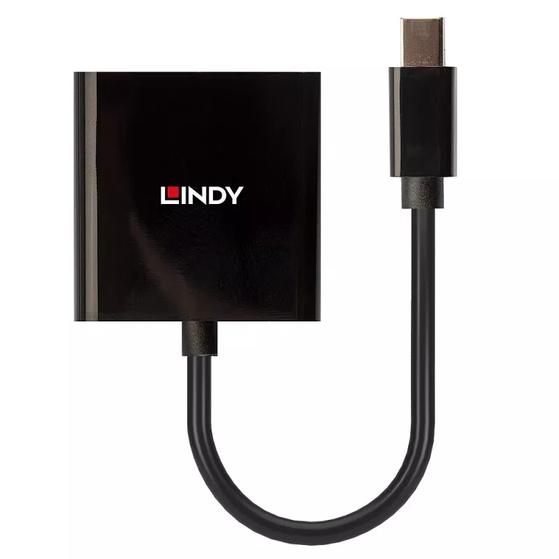 Lindy Mini DisplayPort to DVI Active Converter 0.16m Black