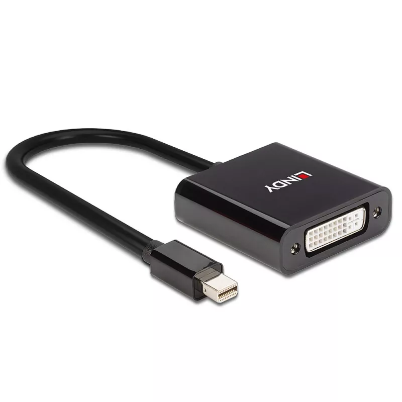 Lindy Mini DisplayPort to DVI Active Converter 0.16m Black