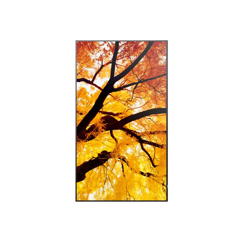Sharp MultiSync PN-M982 98 inch 4K UHD Interactive Flat Panel Display