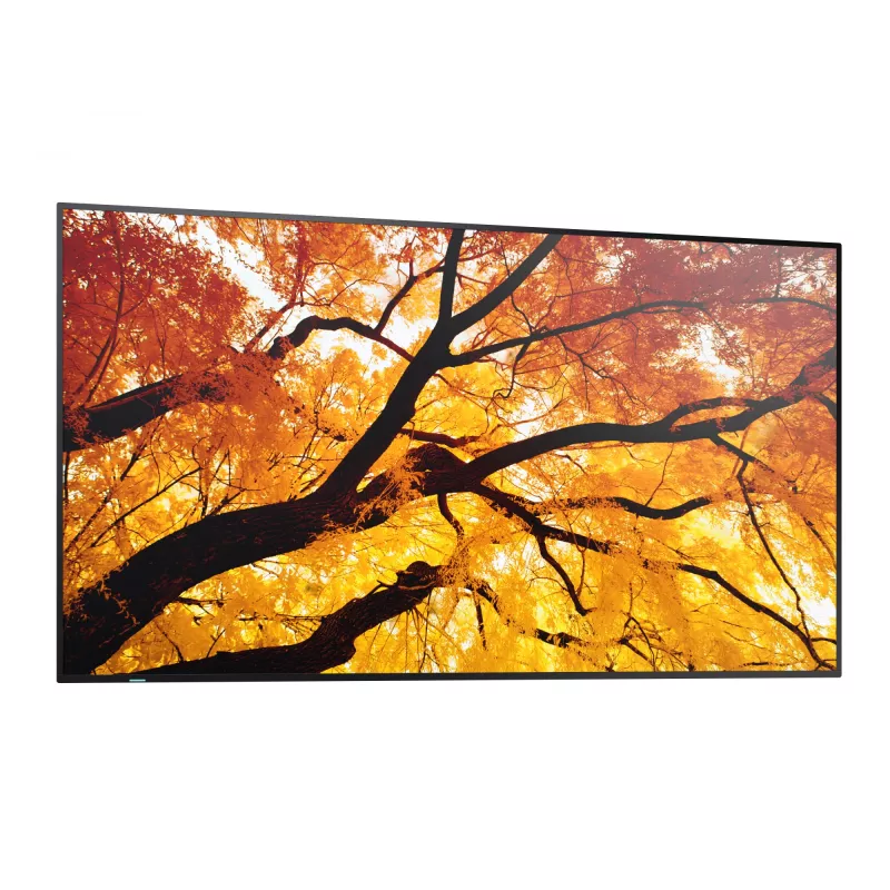 Sharp MultiSync PN-M982 98 inch 4K UHD Interactive Flat Panel Display