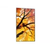 Sharp MultiSync PN-M982 98 inch 4K UHD Interactive Flat Panel Display