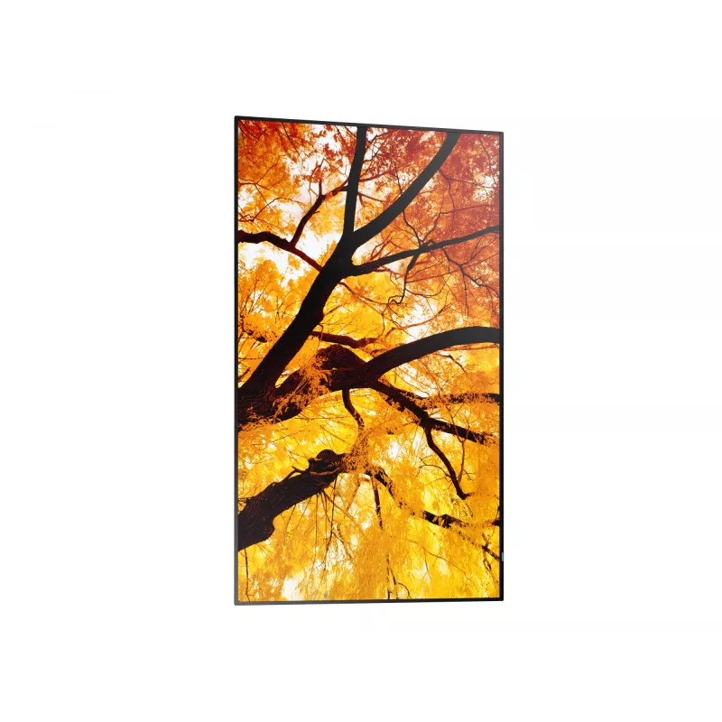 Sharp MultiSync PN-M982 98 inch 4K UHD Interactive Flat Panel Display