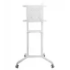 Vivolink VLFS3770 TV mount/stand 177.8 cm (70 inch) White