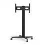 Monitor mount SMS Smart Media Solutions K12-025-EU-1 190.5 cm Black