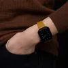 Watch strap native union (Re)Classic Strap for Apple Watch compatible 38/40/41mm width 31 mm depth 6 mm length 205 mm 1 pc