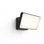 Outdoor smart wall light Philips Hue White Welcome Floodlight, 20.5W LED, 220–240V input, 24V bulb, black, 160×220×153mm