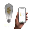 Smart bulb Avanca International BV Hombli HBEB-0211, Wi‑Fi, 5.5 W, grey, A19 (6.1×14.2 cm)