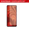 Displex Screen Protector (10H) for Xiaomi 13/13T Pro, Eco Mounting Frame, scratch resistant